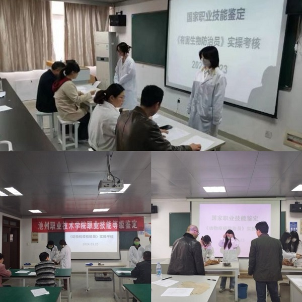 1711282598449204.jpg 222.jpg